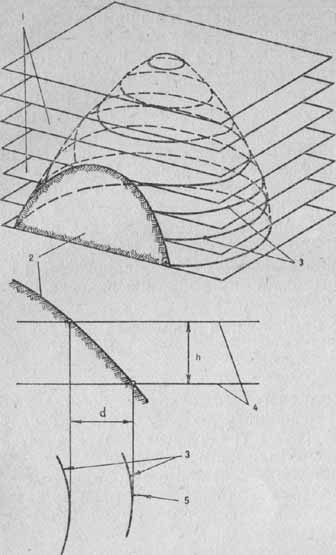 ris03.jpg (23205 bytes)