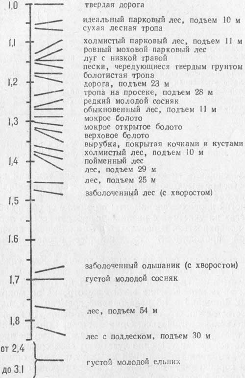 risunok37.jpg (46197 bytes)